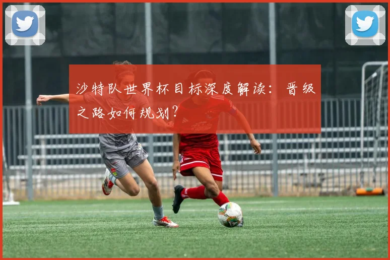 沙特队世界杯目标深度解读：晋级之路如何规划？