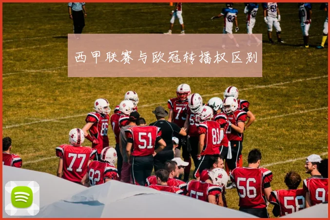 西甲联赛与欧冠转播权区别
