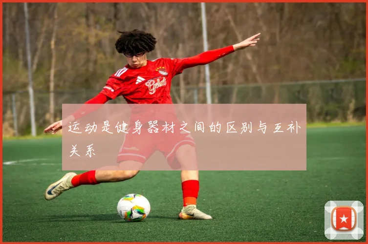 运动是健身器材之间的区别与互补关系