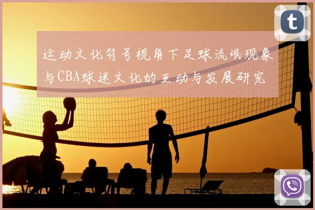 运动文化符号视角下足球流氓现象与CBA球迷文化的互动与发展研究